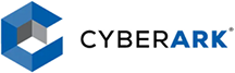 Vendor partner 10